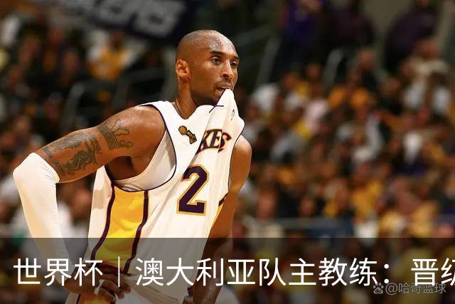 世界杯｜澳大利亚队主教练：晋级淘汰赛是我们应得的