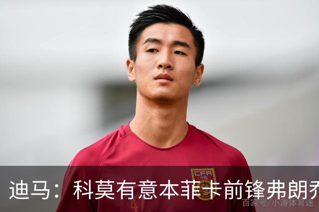 迪马：科莫有意本菲卡前锋弗朗乔·伊万诺维奇，已进行初步接触